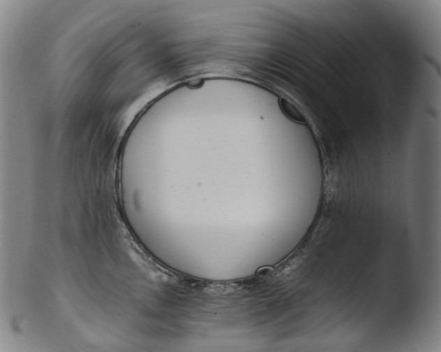 X0000103451146200809261811