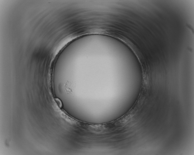 X0000103451147200809261811