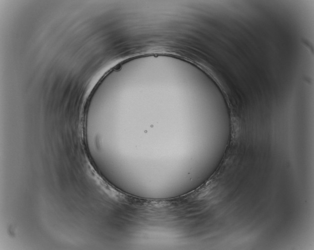 X0000103451148200809261811