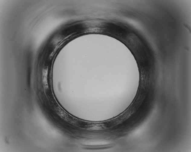 X0000103451150200809261811