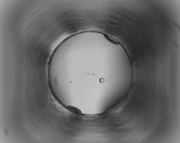 X0000103451151200809261811