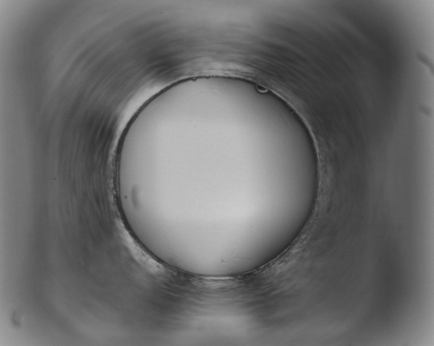 X0000103451152200809261811