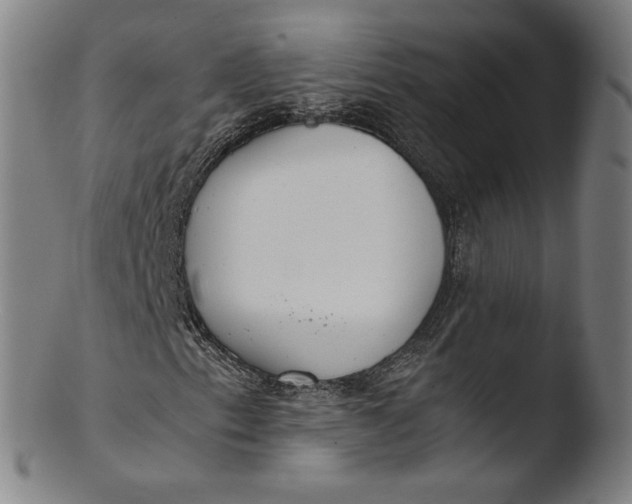 X0000103451153200809261810