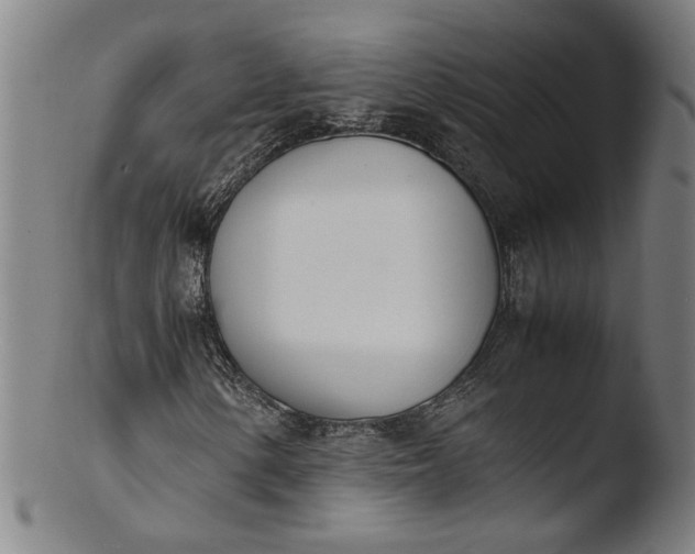 X0000103451154200809261810