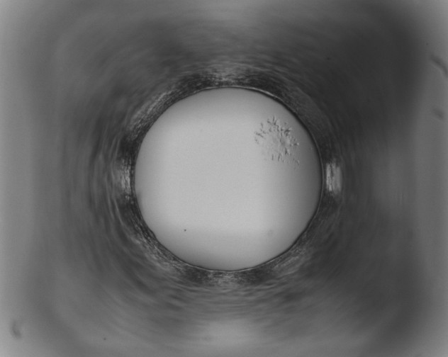 X0000103451155200809261810