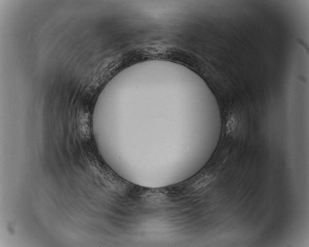 X0000103451156200809261810