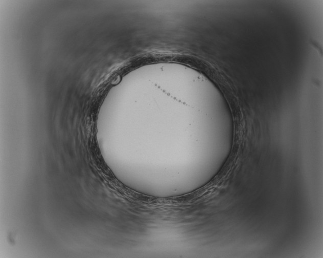 X0000103451157200809261810