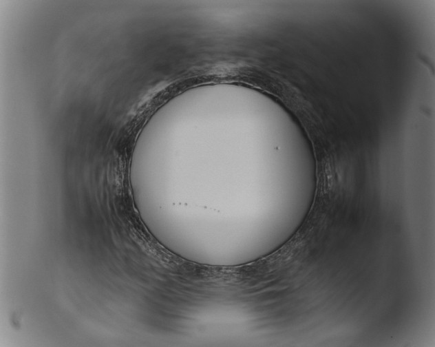 X0000103451158200809261810