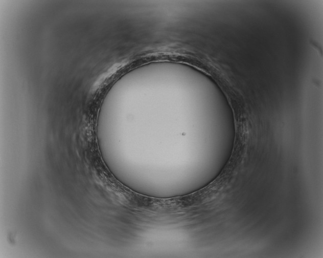 X0000103451159200809261810