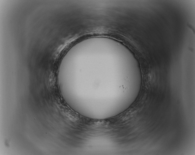 X0000103451160200809261810