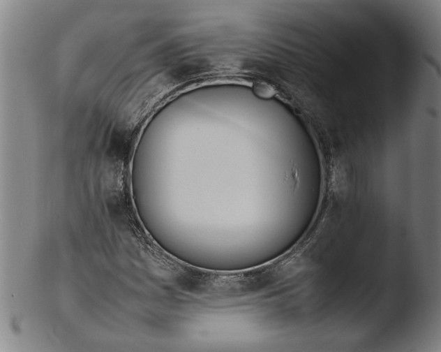 X0000103451161200809261810