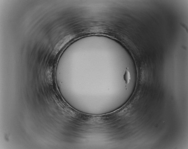 X0000103451162200809261810