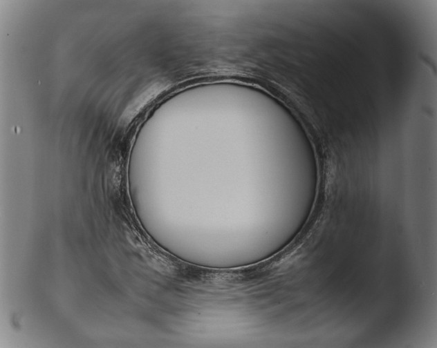 X0000103451163200809261810