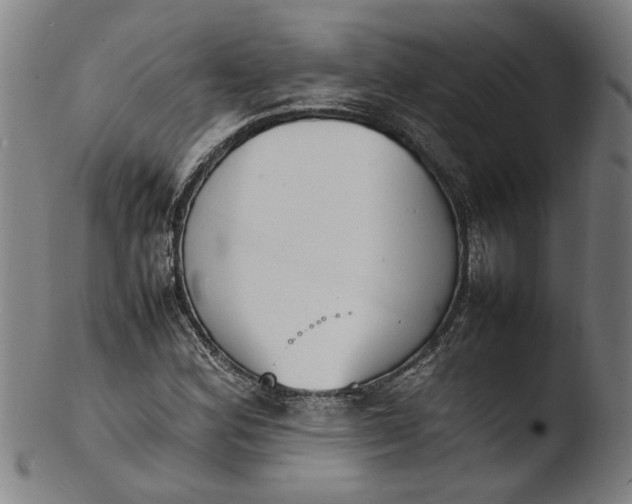 X0000103451164200809261810