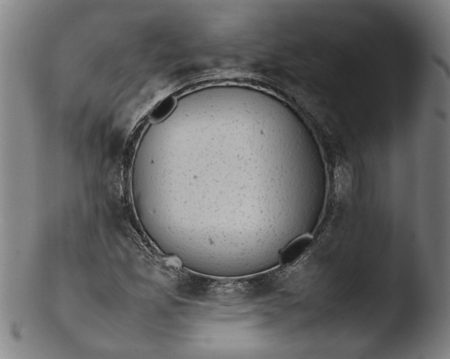 X0000103451165200809261810