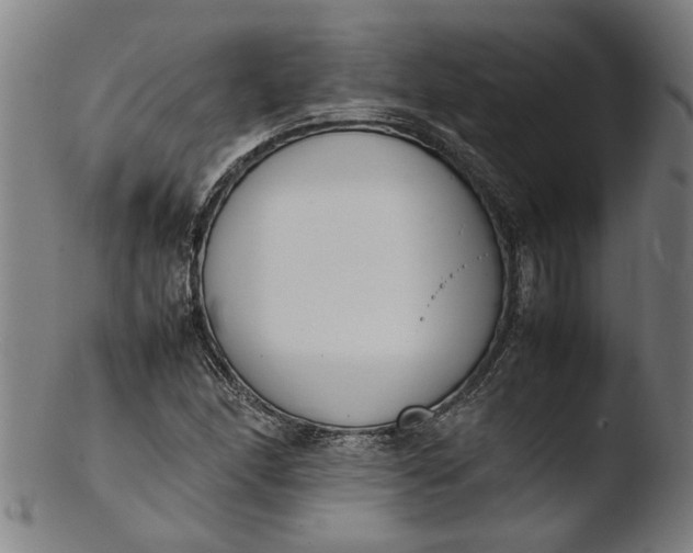 X0000103451166200809261810