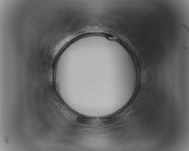 X0000103451167200809261810