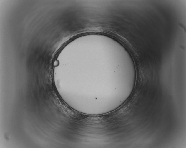 X0000103451168200809261810