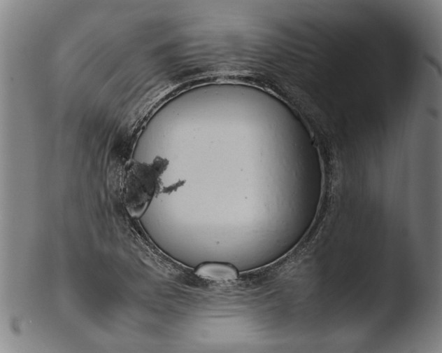 X0000103451169200809261810