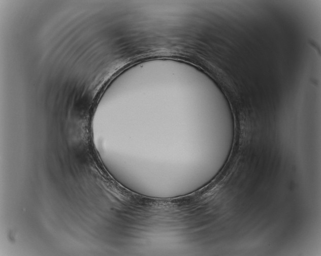 X0000103451170200809261810