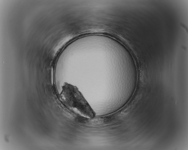 X0000103451171200809261810