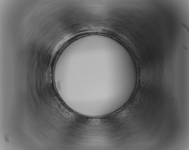 X0000103451172200809261810