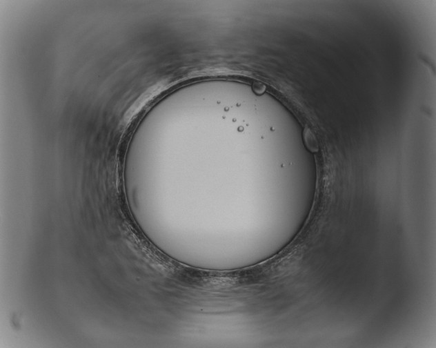 X0000103451173200809261810