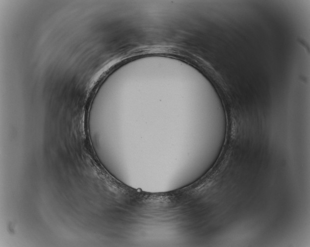 X0000103451174200809261810