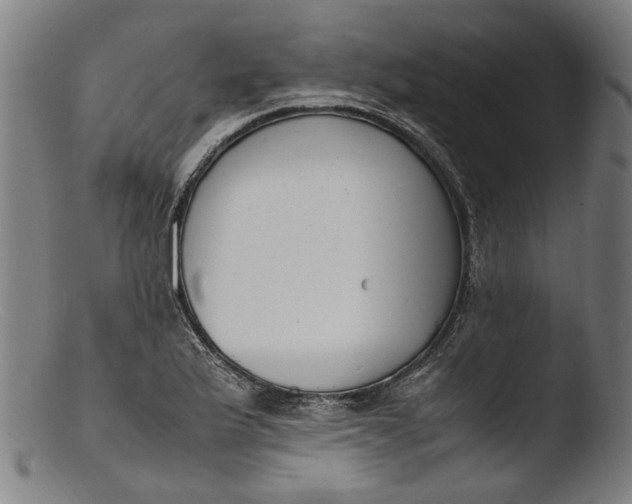 X0000103451175200809261810