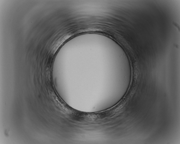 X0000103451177200809261810