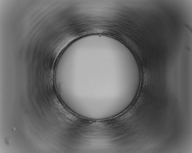 X0000103451178200809261810