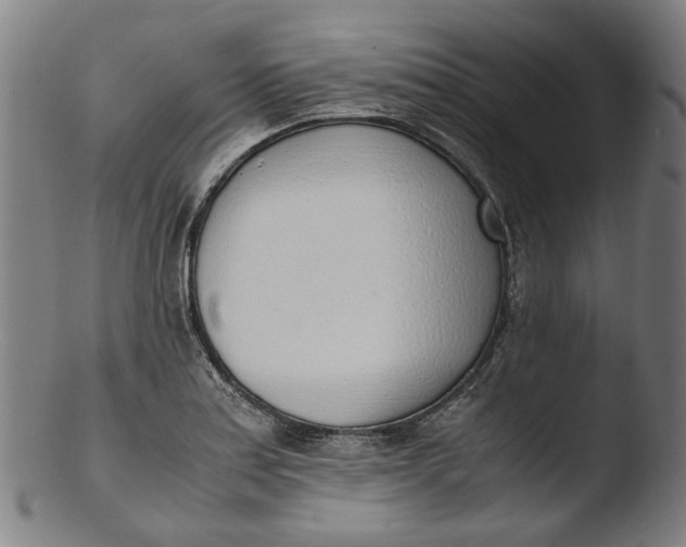 X0000103451179200809261810