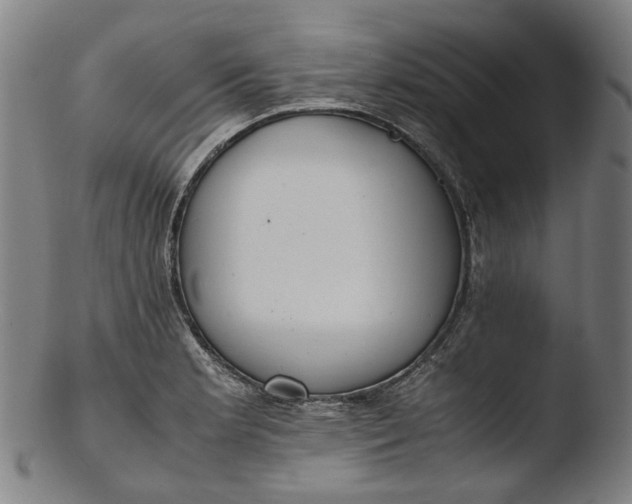 X0000103451181200809261810