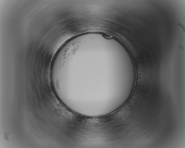 X0000103451182200809261810