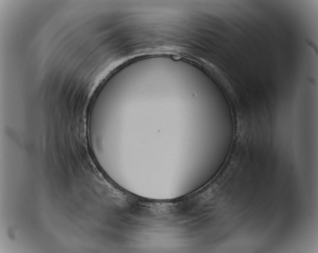 X0000103451184200809261810