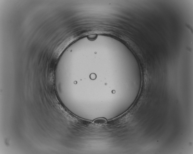 X0000103451185200809261810