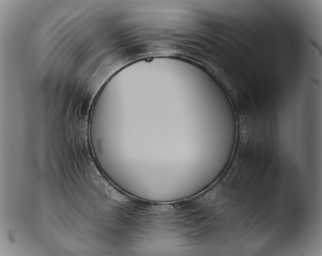 X0000103451186200809261810