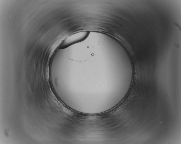 X0000103451188200809261810