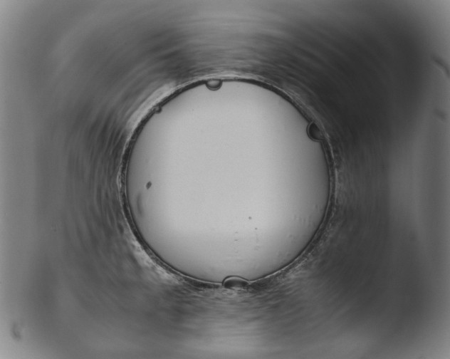 X0000103451189200809261810