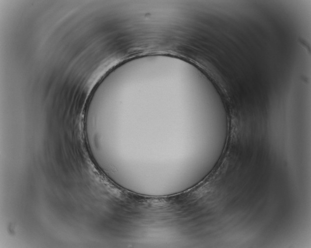 X0000103451190200809261810