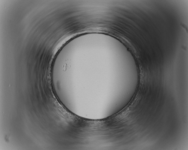 X0000103451192200809261809