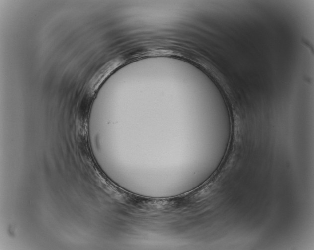 X0000103451193200809261809