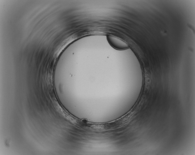 X0000103451194200809261809