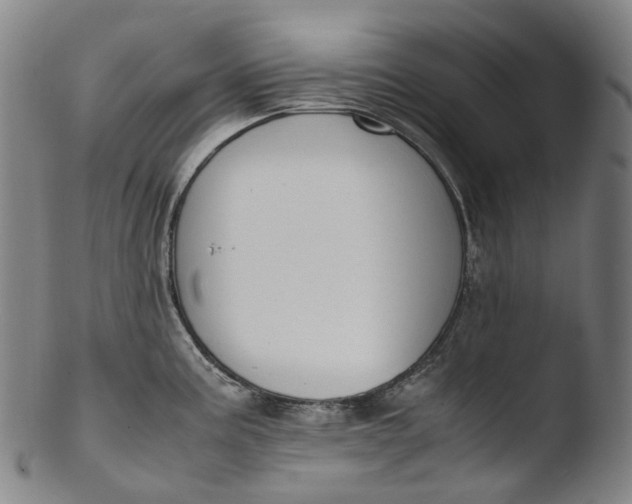 X0000103451195200809261809