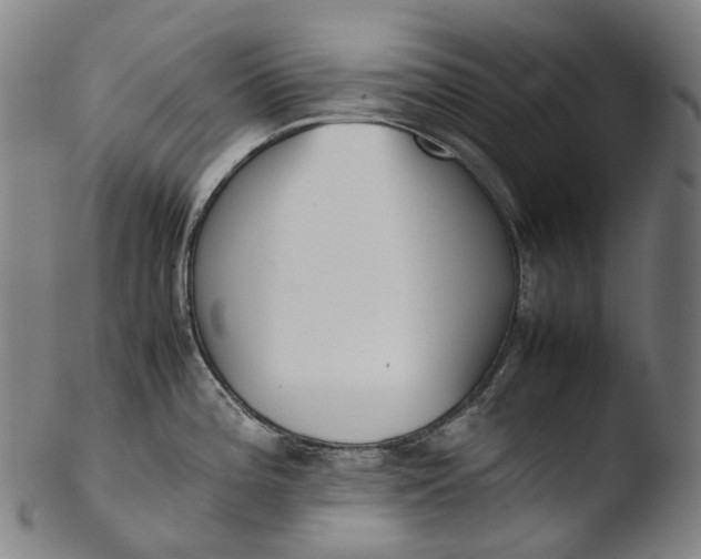 X0000103451196200809261809