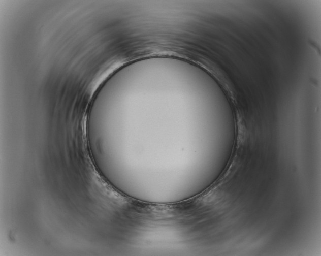 X0000103451198200809261809