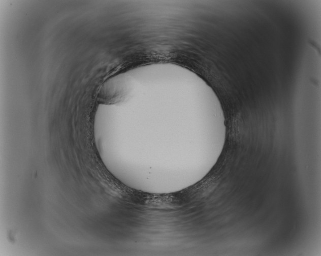 X0000103451201200809261809