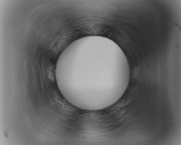 X0000103451202200809261809