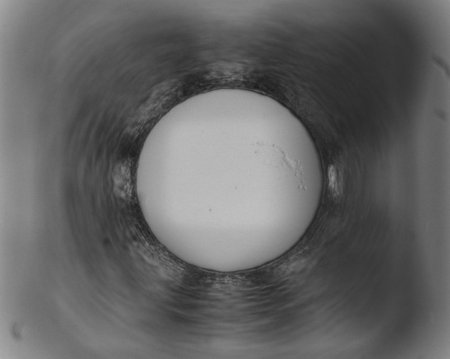 X0000103451203200809261809