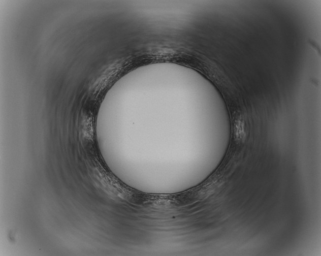 X0000103451204200809261809